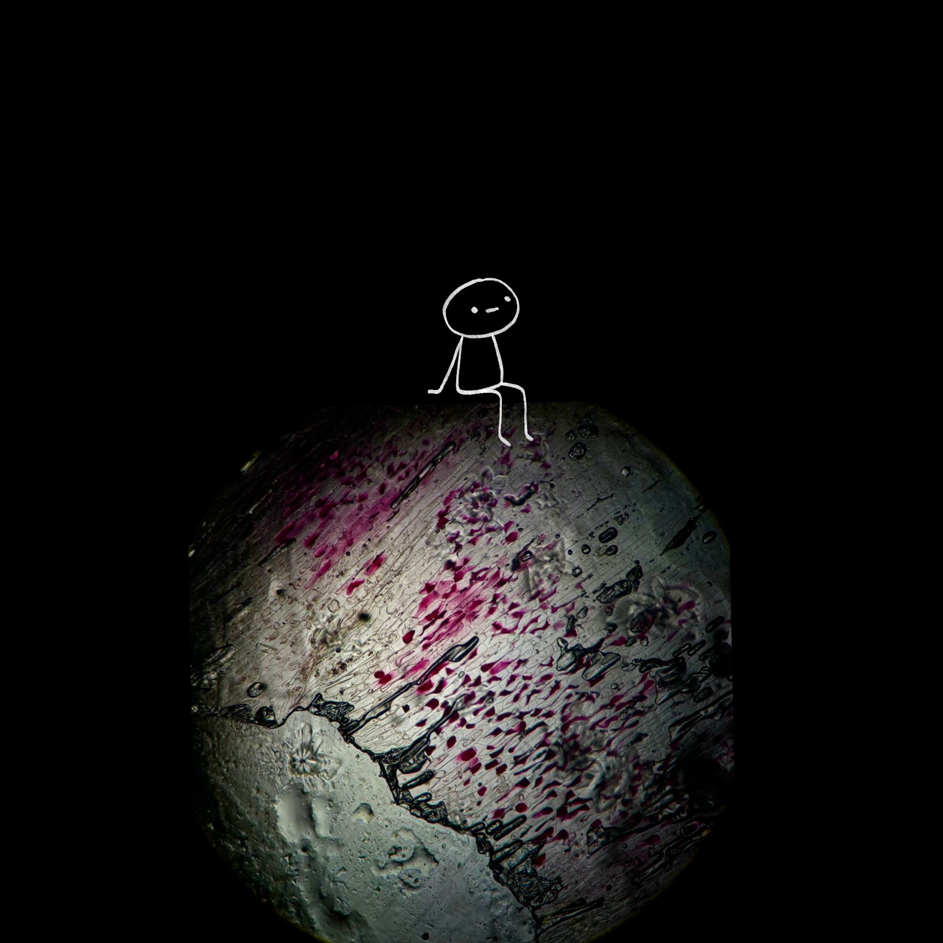 Microscopic artwork 5